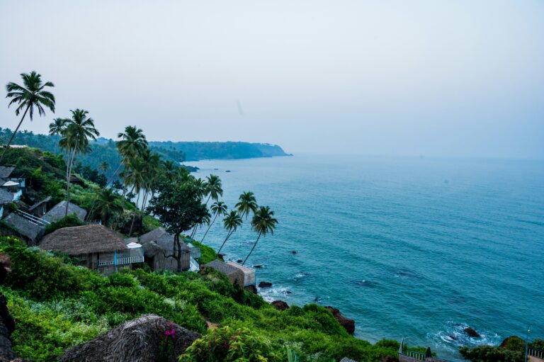 View from Cabo De Rama Fort, Goa (credit: Avin CP)